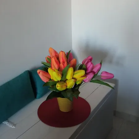 A Casa Di Frida & Mika - Comodo Punto Di Sosta - Vicino A Tutti I Servizi - A 20 Minuti Dall'Autostrada Civita Castellana Exterior foto