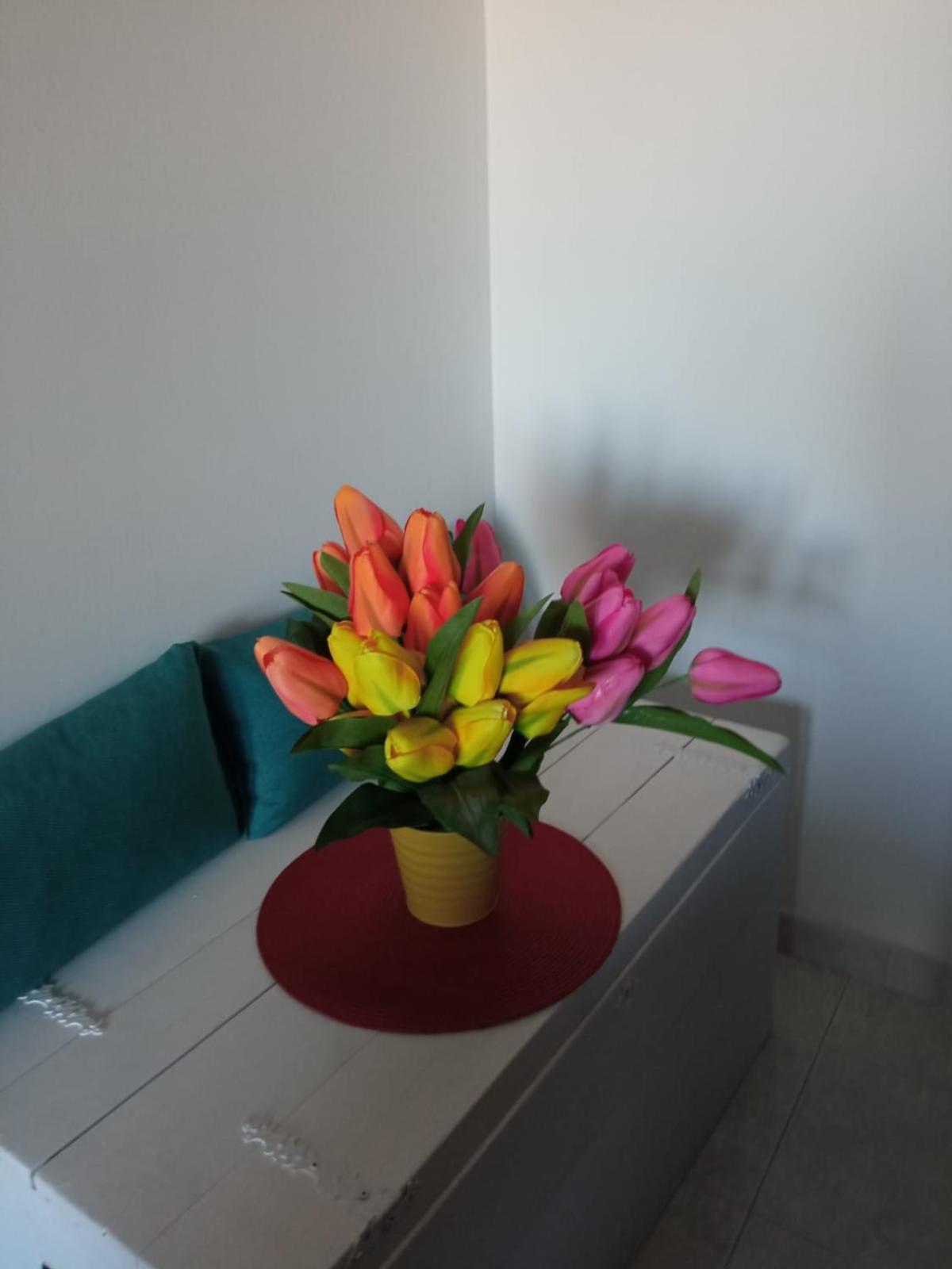 Casa Di Frida & Mika: Convenient Stopover Near Services Civita Castellana
